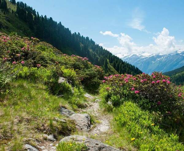 Wanderweg (2b) Wanderweg (2b)