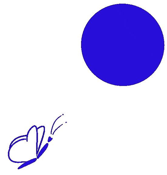 Animation Schmetterling Stiftung